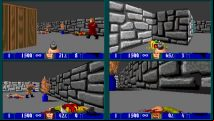 Splitwolf is a Wolfenstein 3D mod that adds local split-screen and a mini-tank