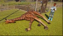 How to make a battle royale in Planet Zoo