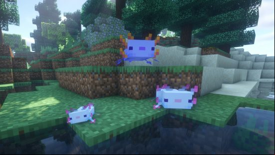 Minecraft axolotl breeding: Two adult axolotls and a baby walk towards water