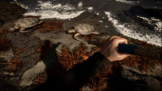 Sons of the Forest - the player points a spear at a turtle on a beach