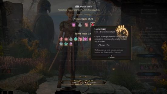 The "prepare spells" screen for a Druid character in Baldur's Gate 3.