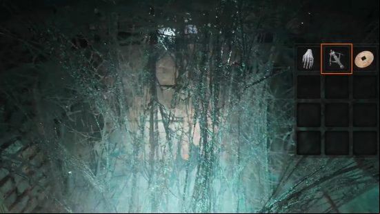 The cobweb blockade on which you can use the Nightweaver Stone Doll.
