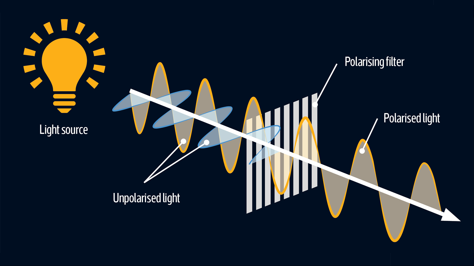 An image that shows how a light source es through a polarising filter