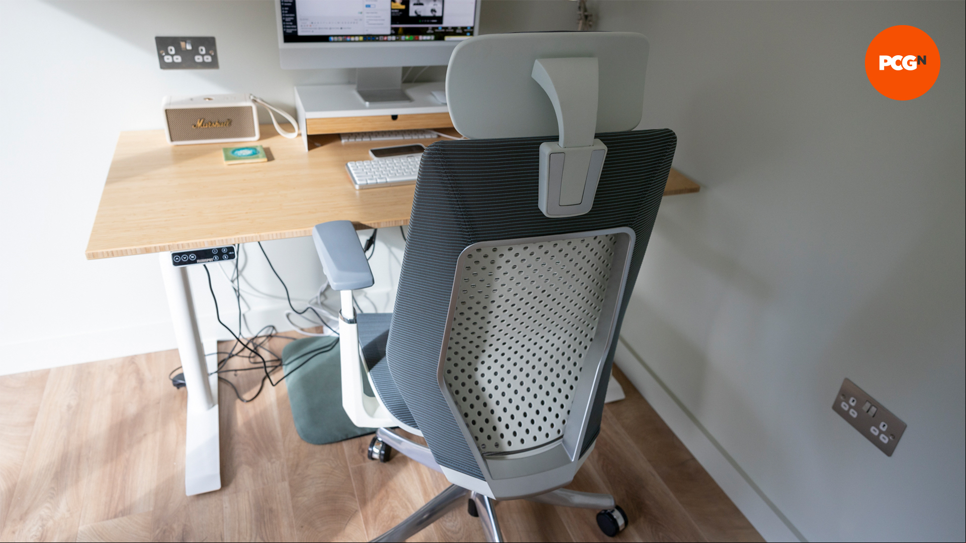 The FlexiSpot BS11 Pro chair in a home office