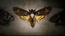 Silent Hill 2 remake moth puzzle solution