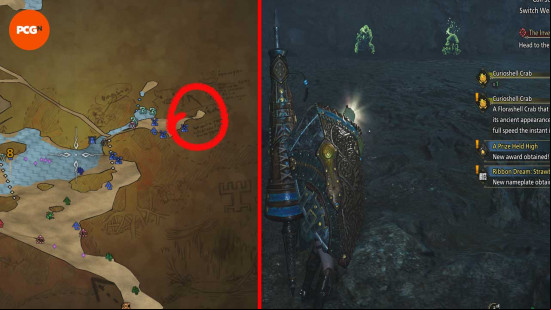 A map showing where to find Curioshell Crab in Monster Hunter Wilds.