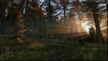 DayZ's 0.62 patch stops players hiding inside trees and makes forests beautiful